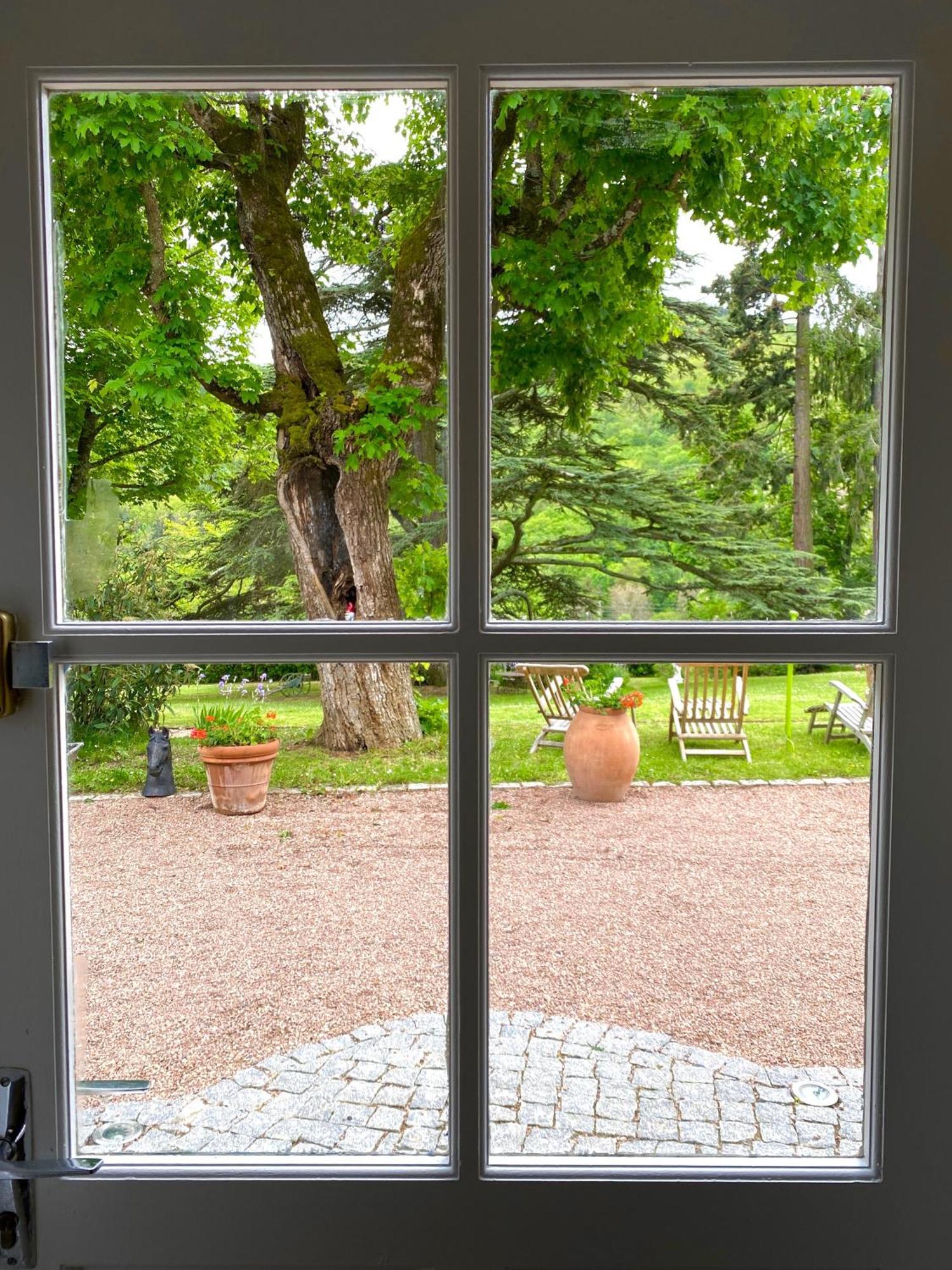Chateau Des Janroux Juliénas Cameră foto