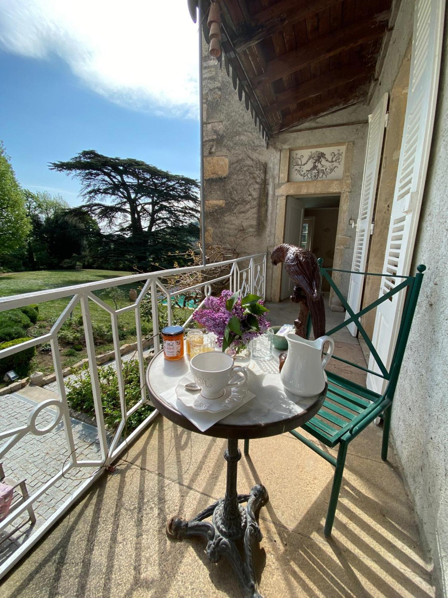 Chateau Des Janroux Juliénas Cameră foto